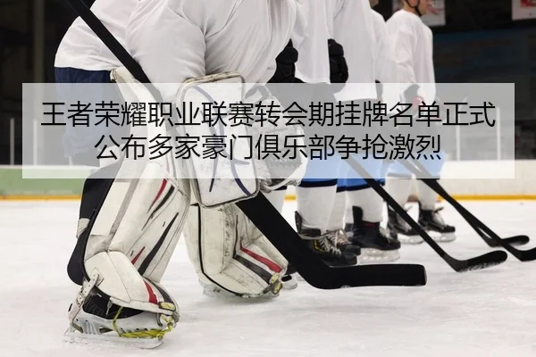 wang-zhe-rong-yao-zhi-ye-lian-sai-zhuan-hui-qi-gua-pai-ming-dan-zheng-shi-gong-bu-duo-jia-hao-men-ju-le-bu-zheng-qiang-2-560.jpg